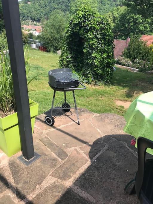 Gite Des Renards La Broque Zewnętrze zdjęcie